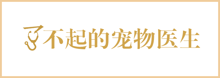 了不起的宠物医生