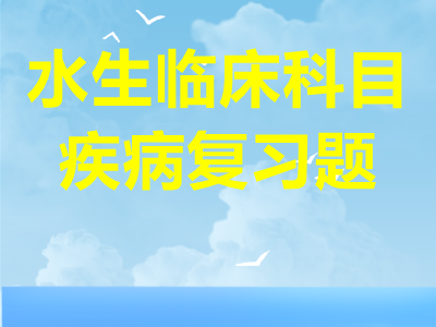 默认文件1632670246061_副本.png