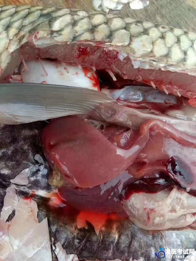 463bd8ce76894e439084adb5f6fce5f3.jpeg