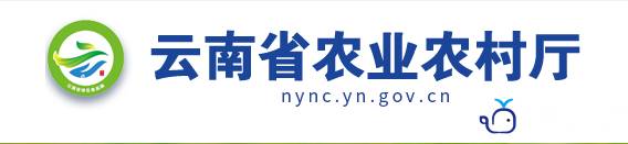 云南省.png