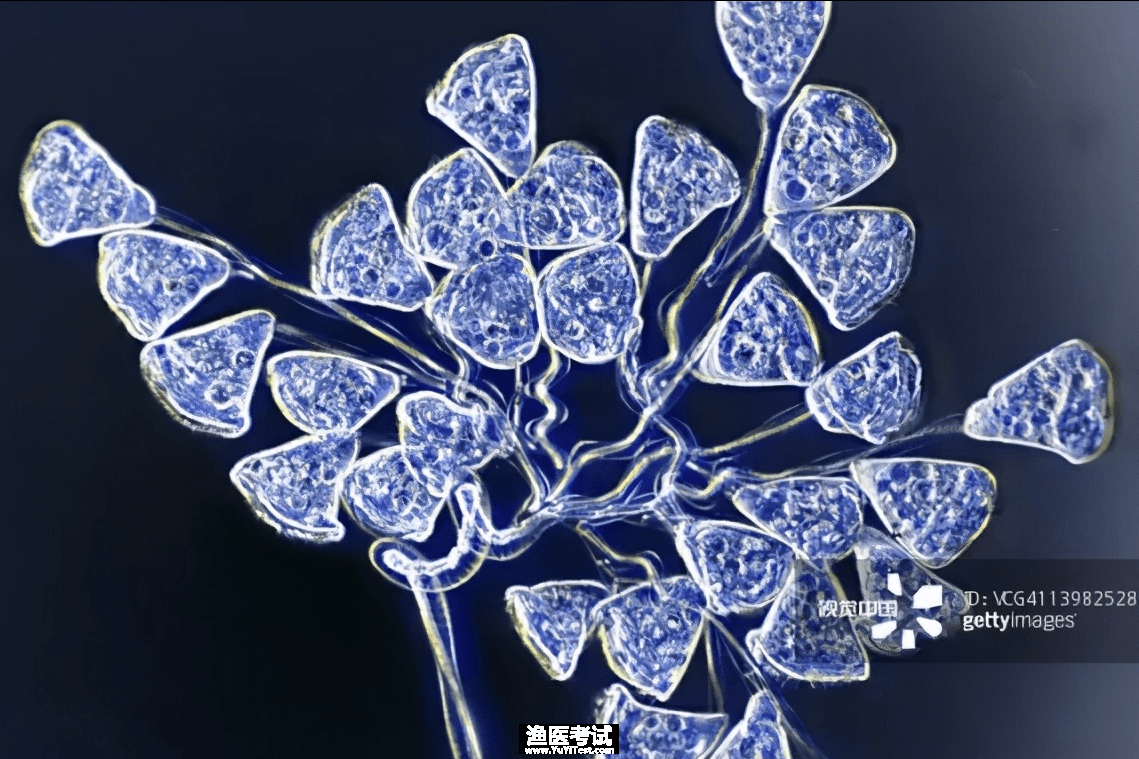 26aa805819e749e99645f523d0531a63.png