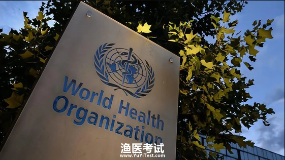 世卫组织