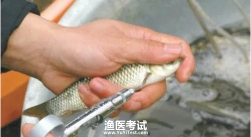 疫苗注射.png