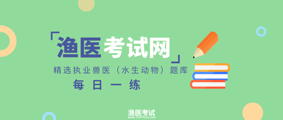 渔医考试网