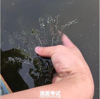 03035e04c36c4a4eb9dce7a15f52ff6e.jpeg