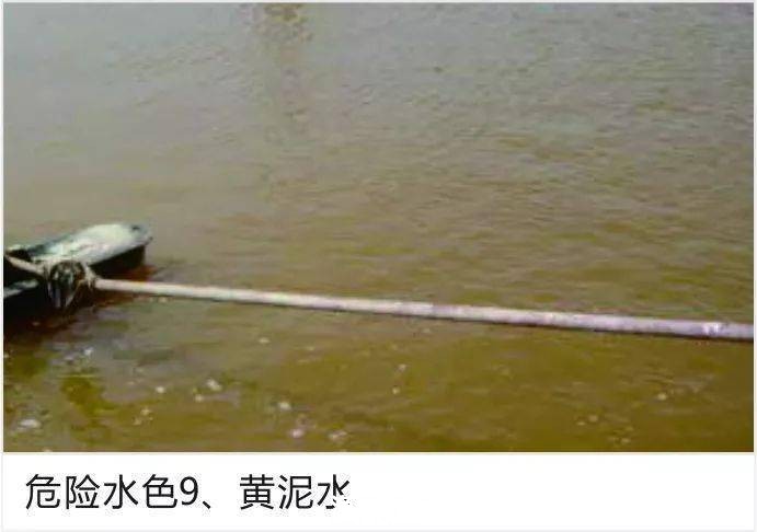 1b1095d9bec545d7a74f966a52d7d9ad.jpeg