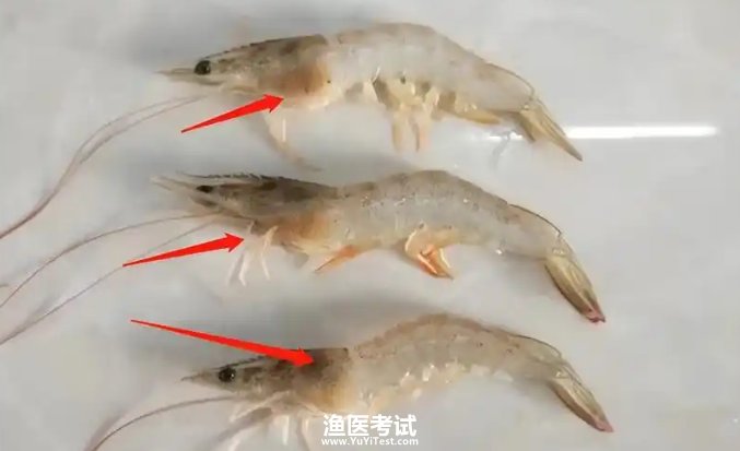 wechat_2025-09-19_205225_468.png