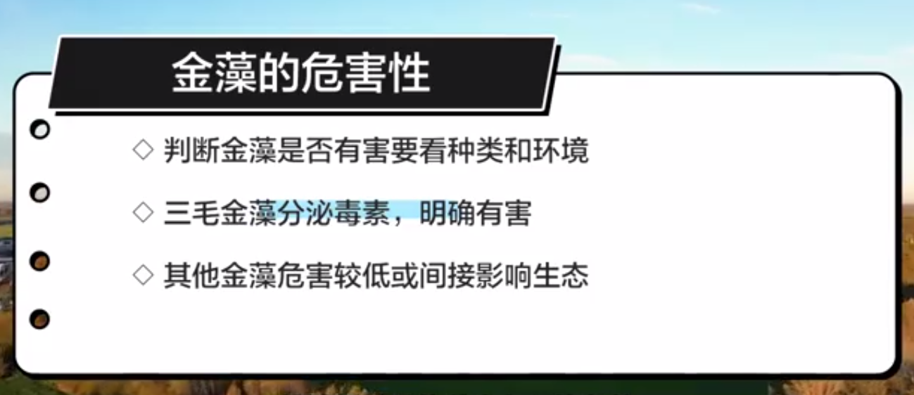 {nex_medvideo_cover_cover}