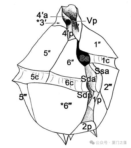 {nex_medvideo_cover_cover}