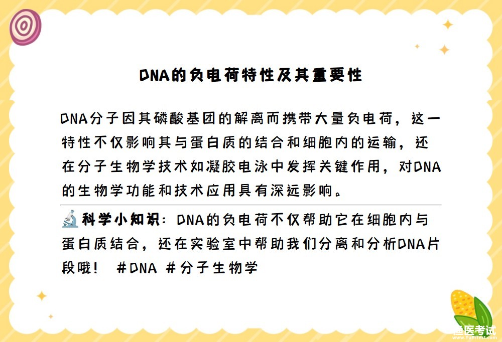 DNA.jpg