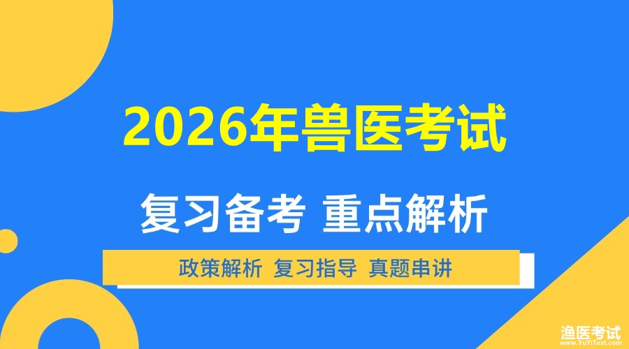2026年考试