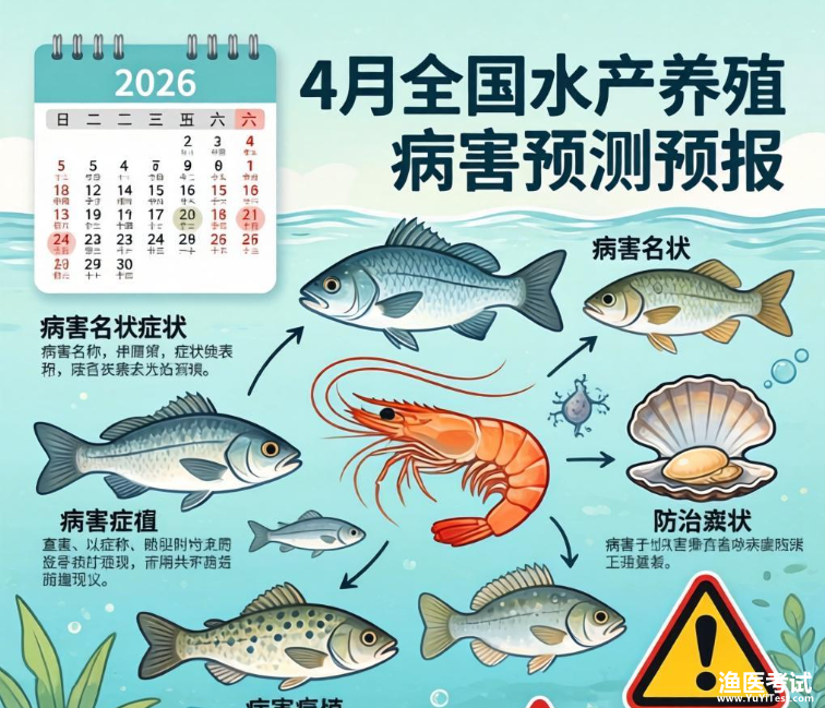 2026年4月病害预防