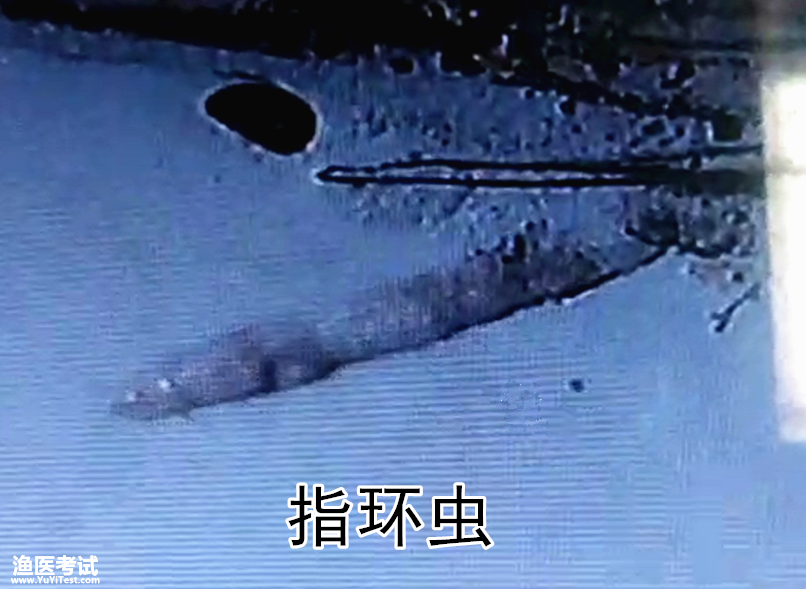 1571659218591.png