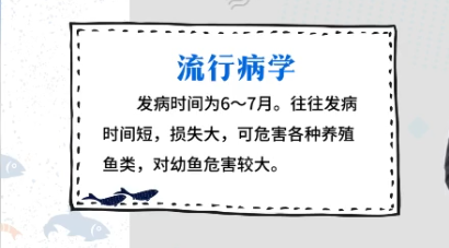 杯体虫流行病学