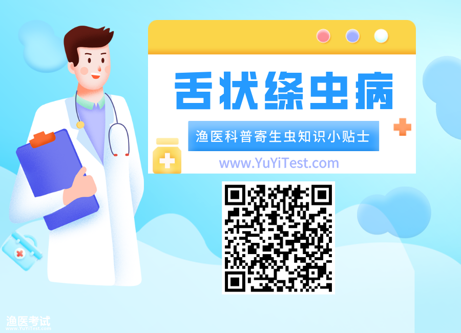 舌状绦虫病2.png