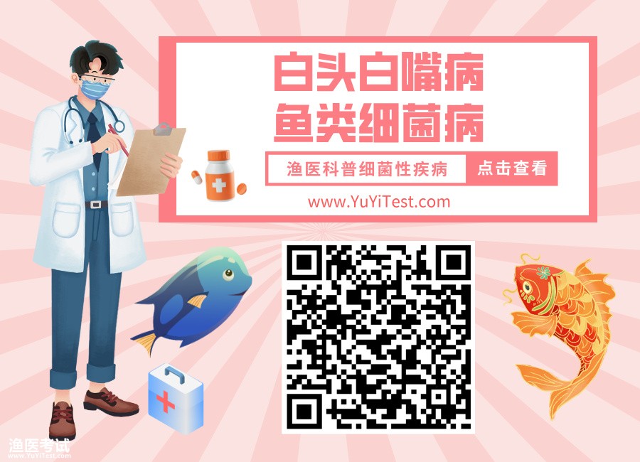 白头白嘴病0.jpg